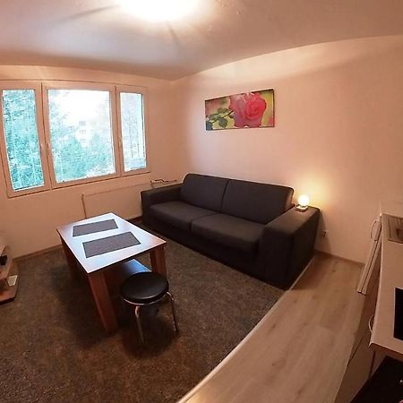 Garsonka Hlinik Apartment Třeboň Екстериор снимка