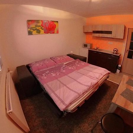 Garsonka Hlinik Apartment Třeboň Екстериор снимка