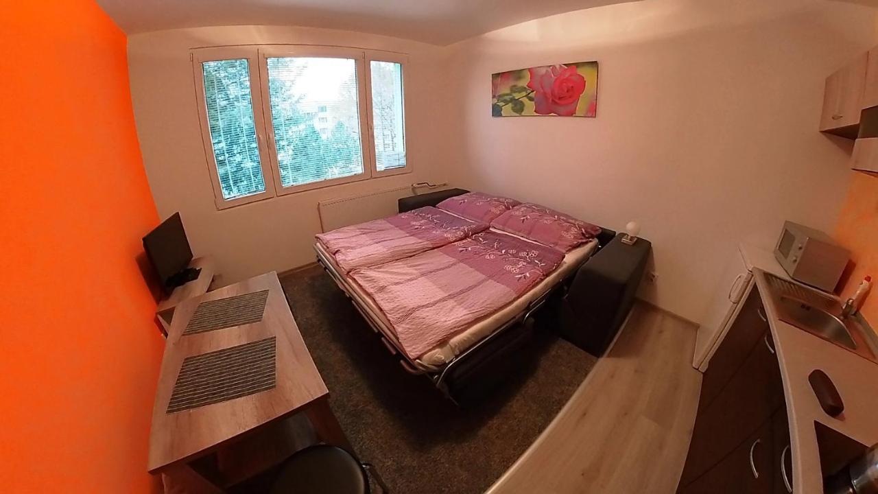 Garsonka Hlinik Apartment Třeboň Екстериор снимка