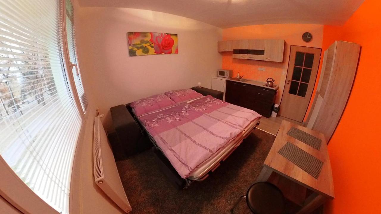 Garsonka Hlinik Apartment Třeboň Екстериор снимка