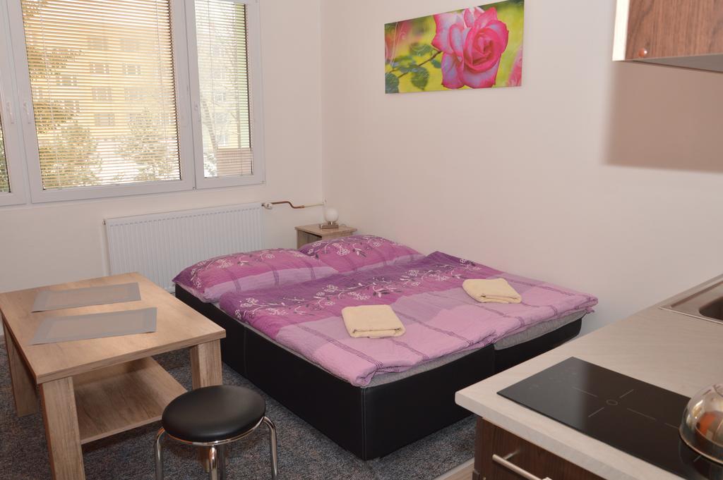 Garsonka Hlinik Apartment Třeboň Екстериор снимка